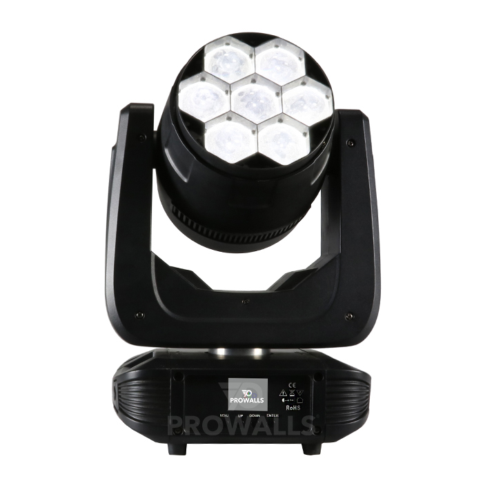 Avispa Lite 7P